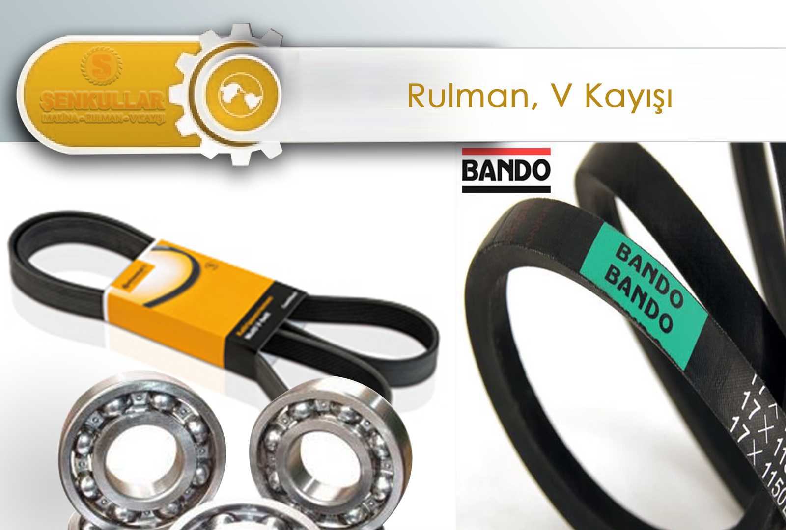 RULMAN, V KAYIŞLARI